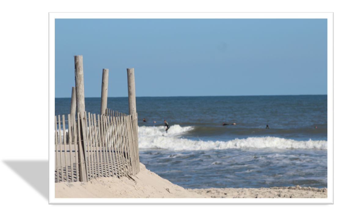 Southern Ocean County Real Estate Market Trends | Stafford | LBI | Barnegat | Little Egg Harbor